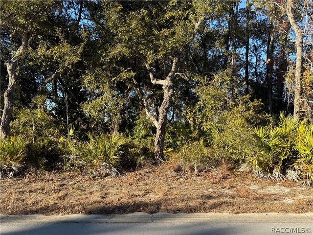 7023 W Merrivale Lane, Homosassa, FL 34446