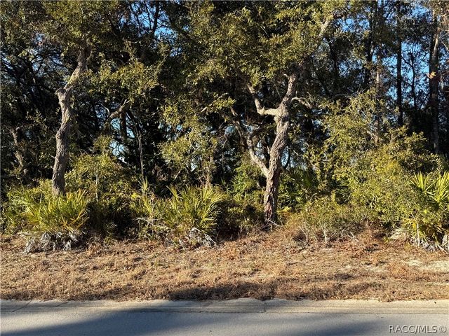 7023 W Merrivale Lane, Homosassa, FL 34446