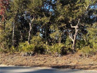 7023 W Merrivale Lane, Homosassa, FL 34446