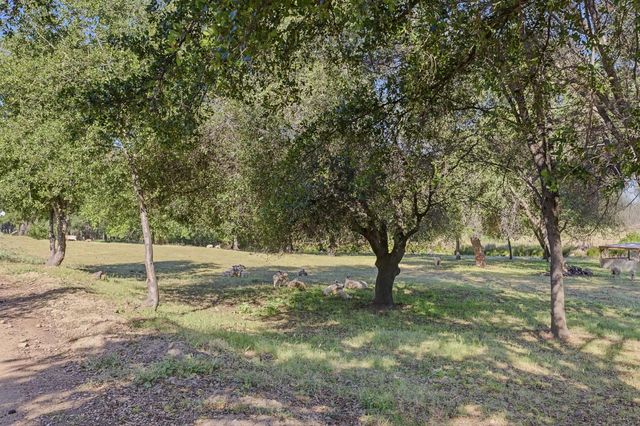 3117 Garden Bar Rd, Lincoln, CA 95648