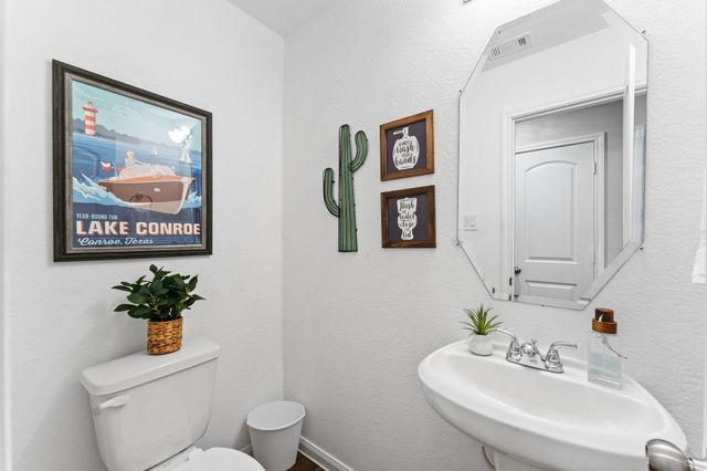 15022 Sorrento Bay Court, Willis, TX 77318