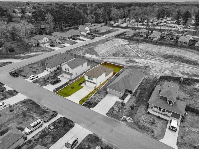 15022 Sorrento Bay Court, Willis, TX 77318