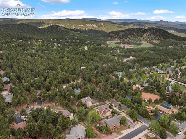1121 W Bowman Avenue, Woodland Park, CO 80863