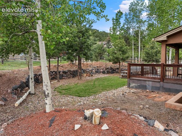 1121 W Bowman Avenue, Woodland Park, CO 80863