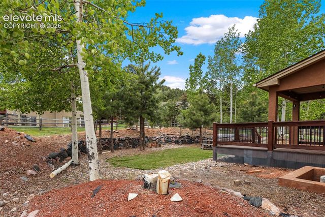1121 W Bowman Avenue, Woodland Park, CO 80863