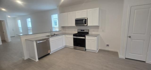 26410 Cedar Sedge Drive, Magnolia, TX 77355