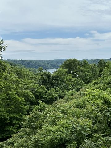 225 Bill Hunter Rd, Celina, TN 38551