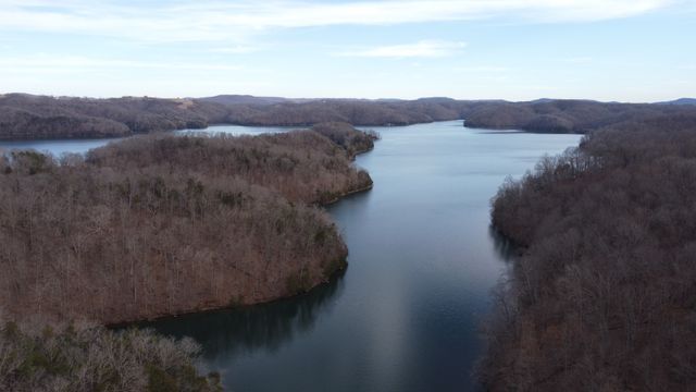 225 Bill Hunter Rd, Celina, TN 38551