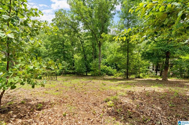4700 EAGLE WOOD COURT, Birmingham, AL 35242