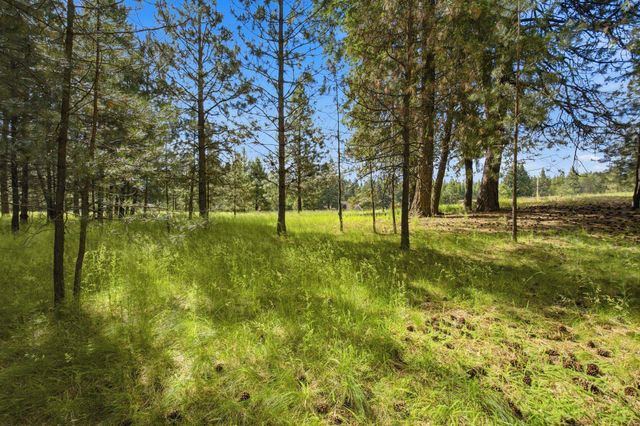 435 Jade Dr, Newport, WA 99156