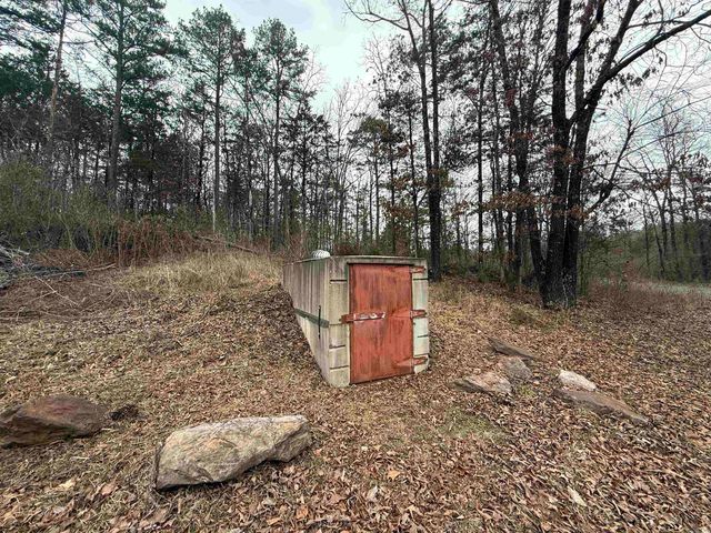 355 Maxine, Clinton, AR 72031