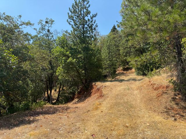 2494 Jumpoff Joe Creek Road, Grants Pass, OR 97526