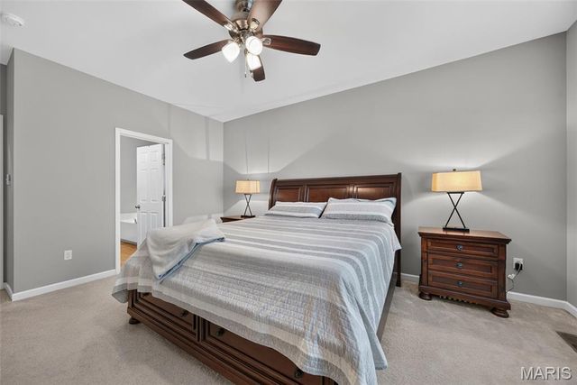 248 Thorn Brook Drive, O'fallon, MO 63366