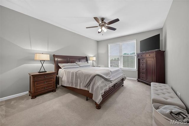 248 Thorn Brook Drive, O'fallon, MO 63366