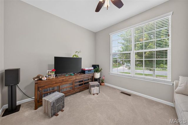 248 Thorn Brook Drive, O'fallon, MO 63366
