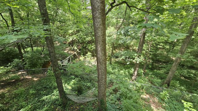 145 Low Brook Court, NE, Cleveland, TN 37312