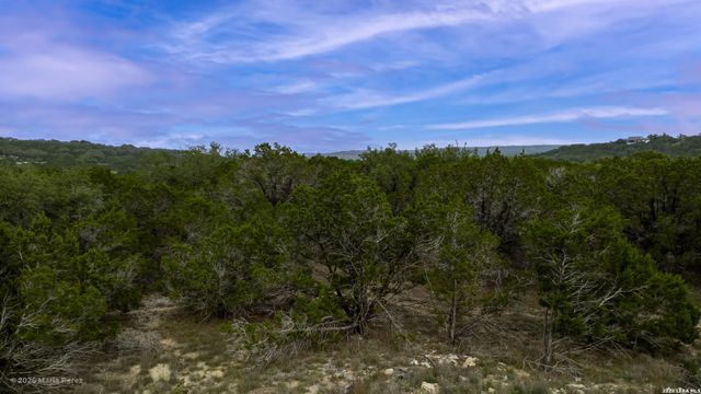 1609 PARADISE PKWY, Canyon Lake, TX 78133