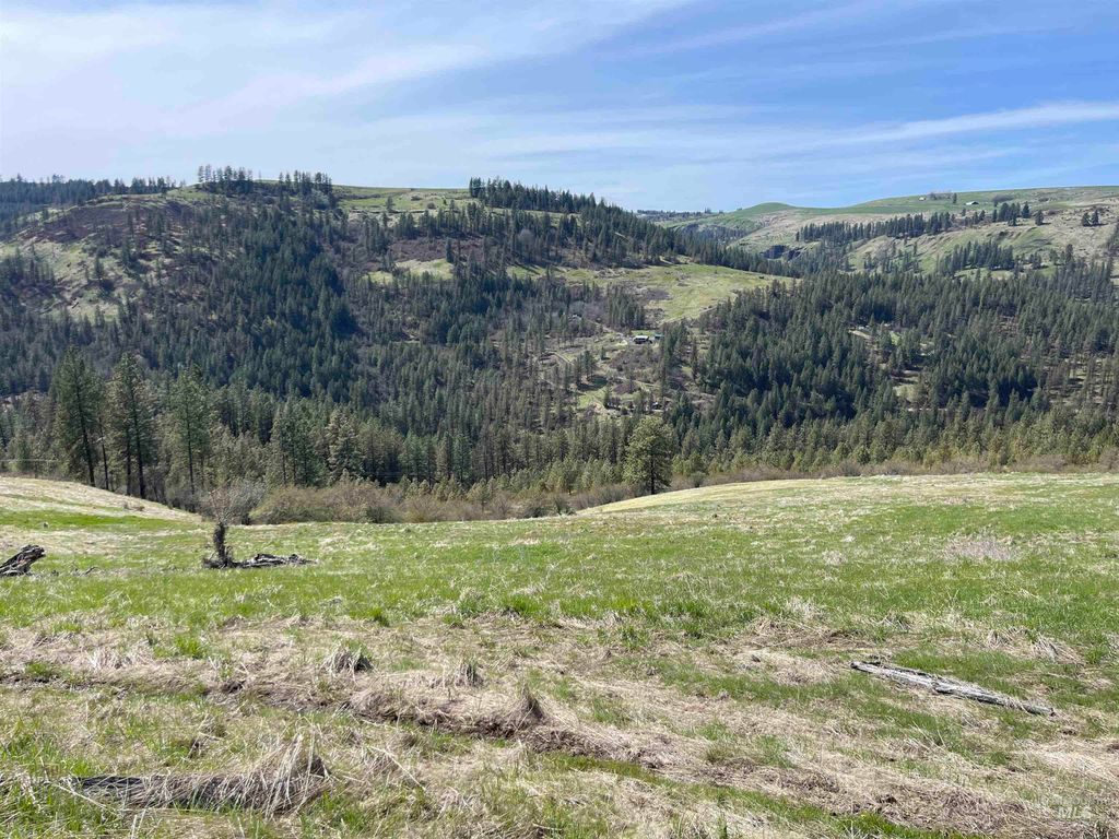 TBD Wagon Wheel Rd, Harpster, ID 83552
