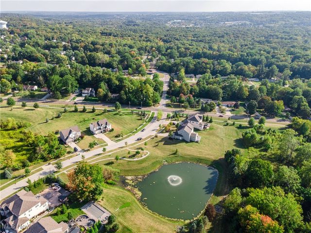 10132 Scenic View Drive, Twinsburg, OH 44087