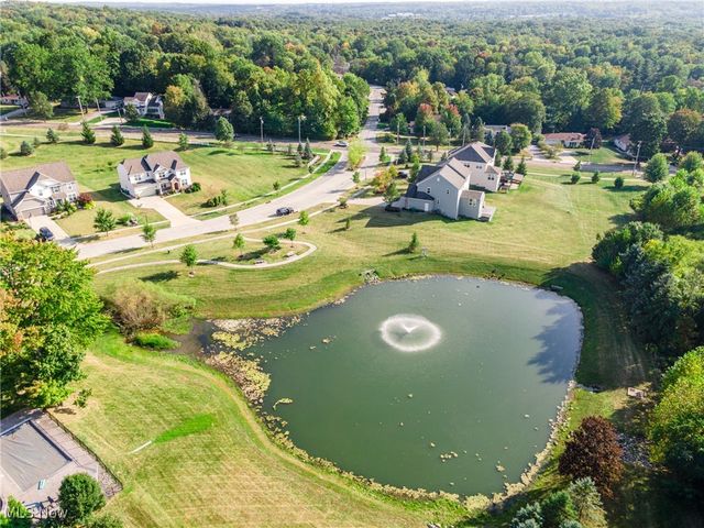 10132 Scenic View Drive, Twinsburg, OH 44087