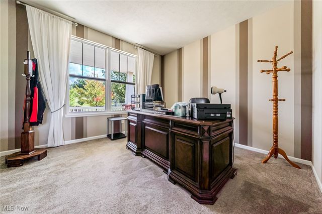 10132 Scenic View Drive, Twinsburg, OH 44087