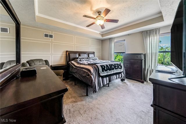 10132 Scenic View Drive, Twinsburg, OH 44087