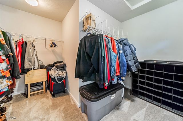 10132 Scenic View Drive, Twinsburg, OH 44087