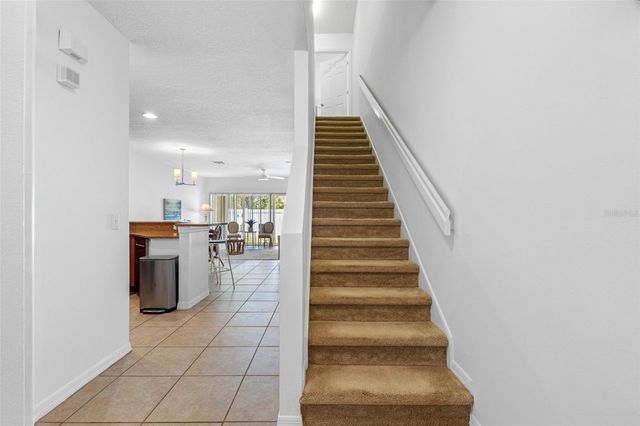 20470 NEEDLETREE DRIVE, Tampa, FL 33647