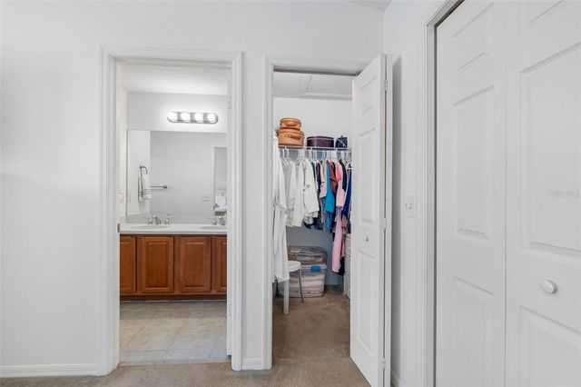 20470 NEEDLETREE DRIVE, Tampa, FL 33647