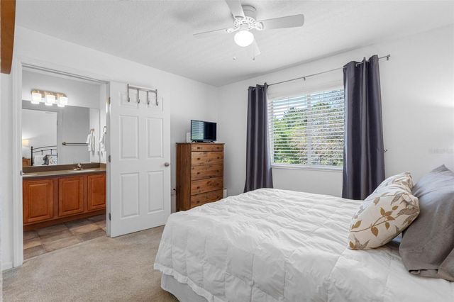 20470 NEEDLETREE DRIVE, Tampa, FL 33647