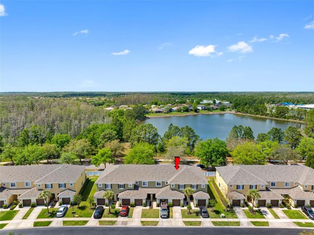 20470 NEEDLETREE DRIVE, Tampa, FL 33647