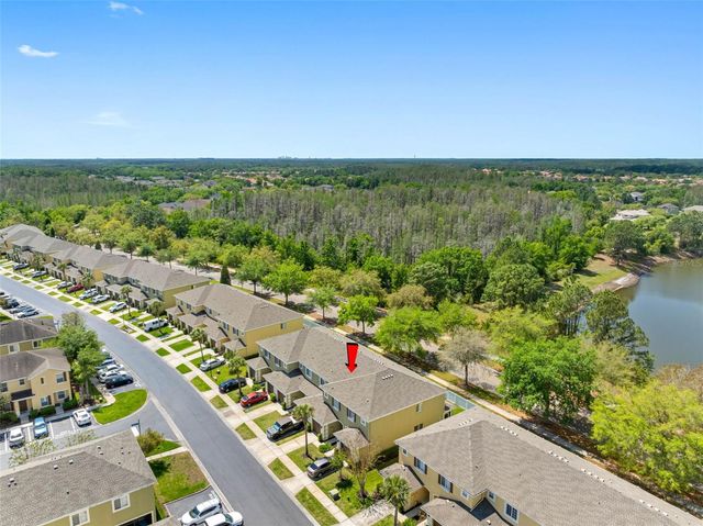 20470 NEEDLETREE DRIVE, Tampa, FL 33647