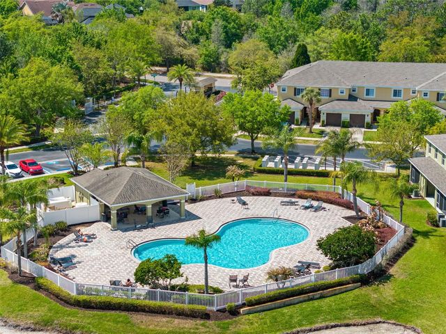 20470 NEEDLETREE DRIVE, Tampa, FL 33647