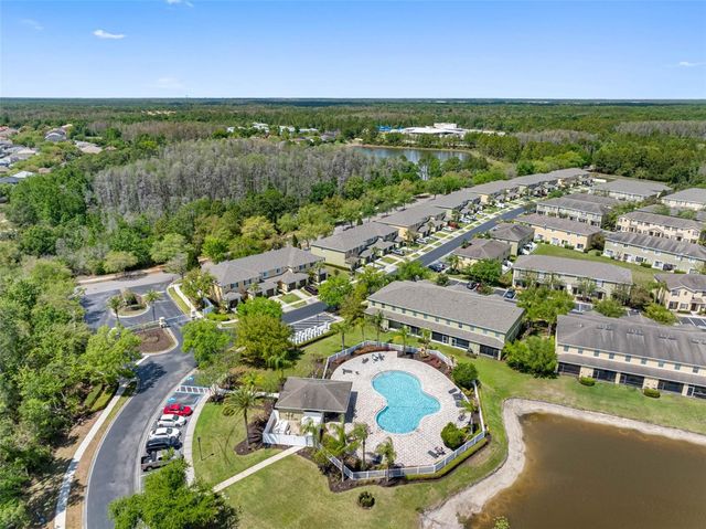 20470 NEEDLETREE DRIVE, Tampa, FL 33647