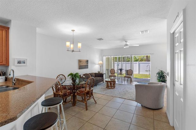 20470 NEEDLETREE DRIVE, Tampa, FL 33647