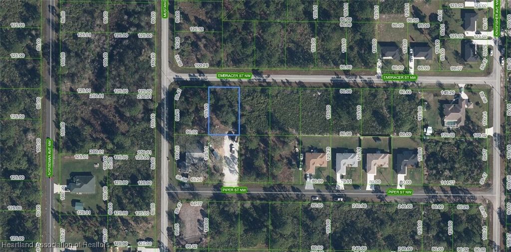 546 Embracer Street NW, Lake Placid, FL 33852