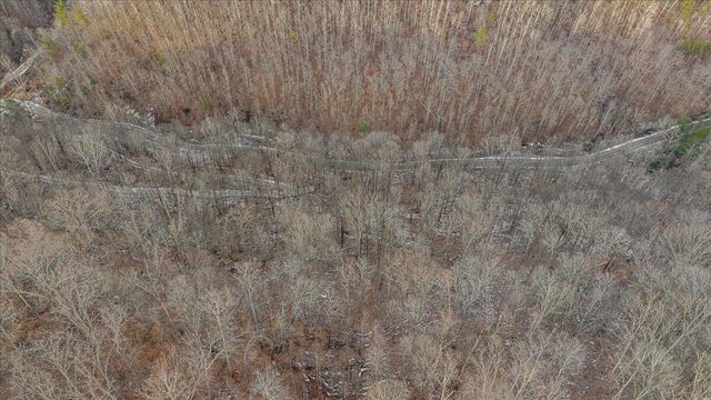 0 Nada Tunnel Rd, Stanton, KY 40380