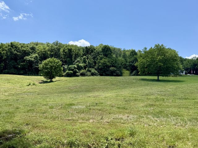 40 Mahan Lane, Elmwood, TN 38560