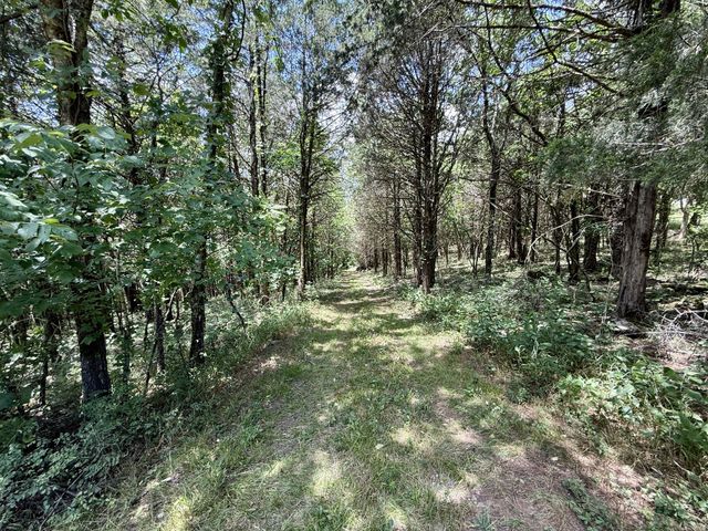 40 Mahan Lane, Elmwood, TN 38560