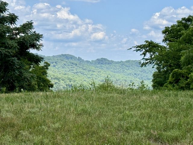 40 Mahan Lane, Elmwood, TN 38560
