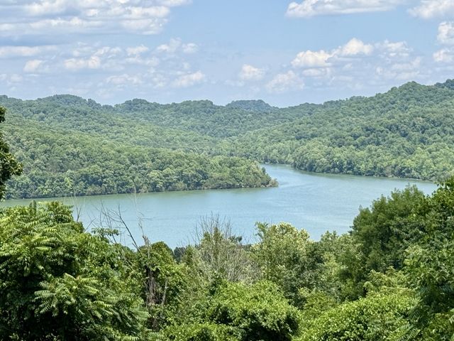 40 Mahan Lane, Elmwood, TN 38560