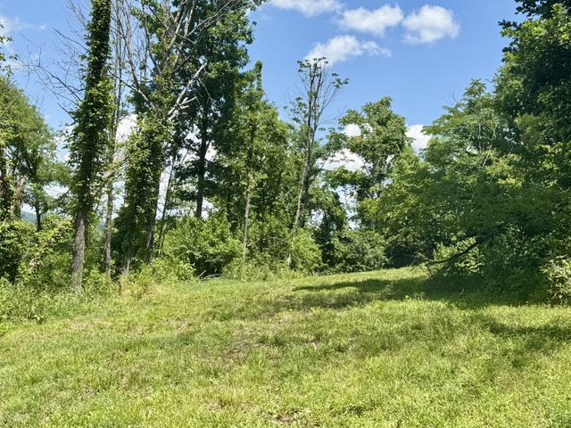40 Mahan Lane, Elmwood, TN 38560