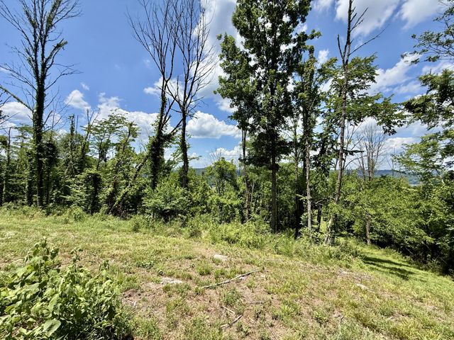 40 Mahan Lane, Elmwood, TN 38560