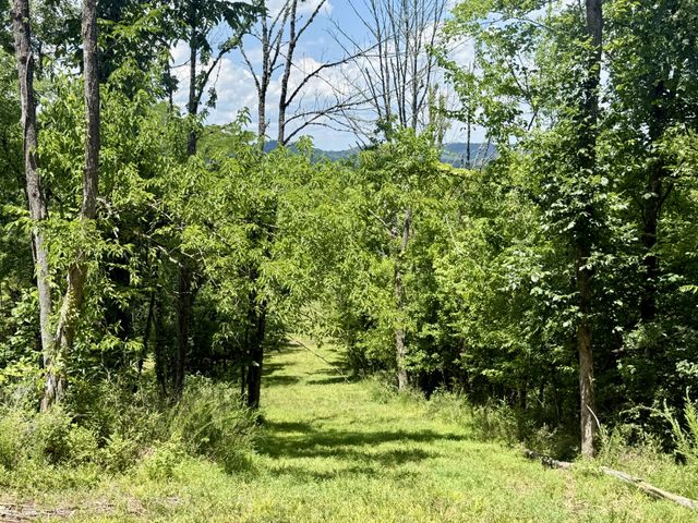 40 Mahan Lane, Elmwood, TN 38560