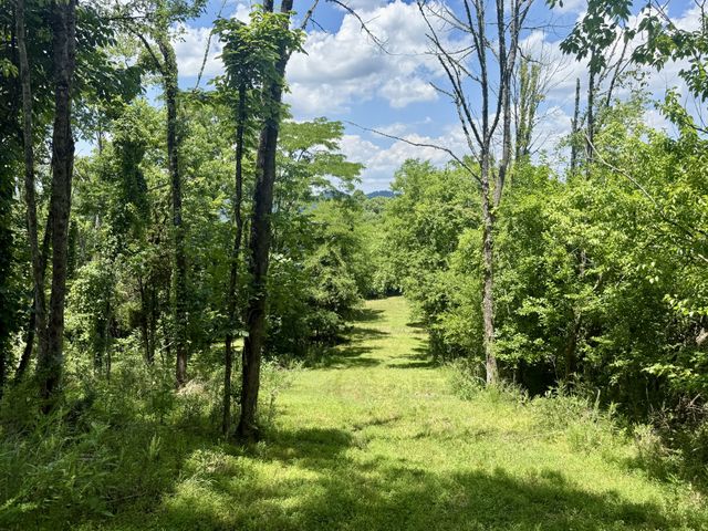 40 Mahan Lane, Elmwood, TN 38560