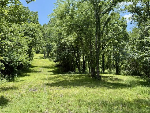 40 Mahan Lane, Elmwood, TN 38560
