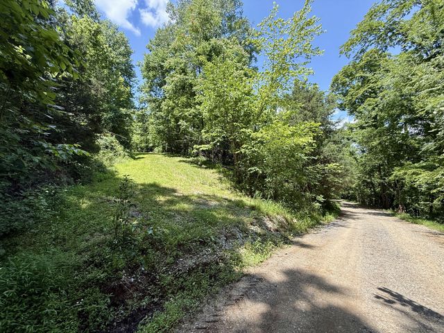 40 Mahan Lane, Elmwood, TN 38560