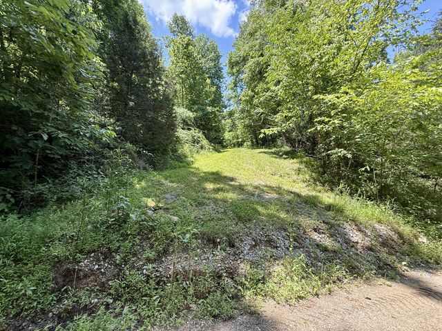 40 Mahan Lane, Elmwood, TN 38560
