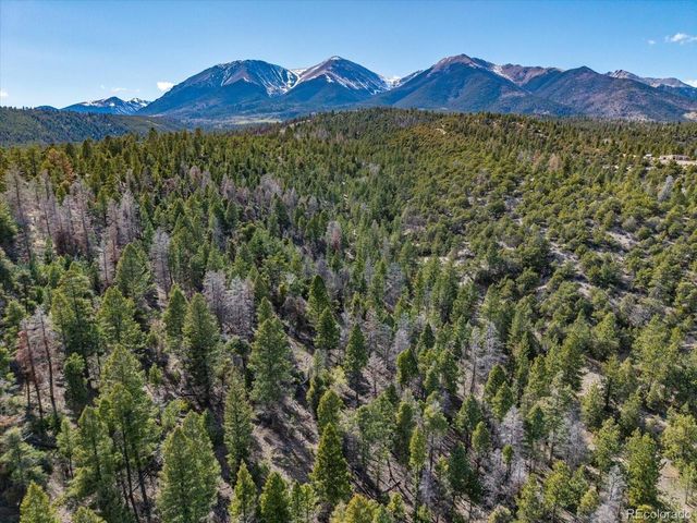TBD County Road 251, Salida, CO 81201