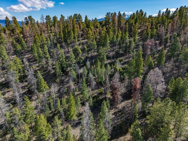 TBD County Road 251, Salida, CO 81201